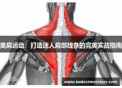 美肩运动：打造迷人肩部线条的完美实战指南