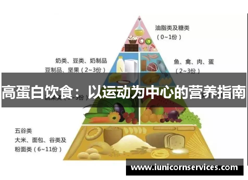高蛋白饮食:以运动为中心的营养指南 高蛋白饮食:以运动为中心的营养指南