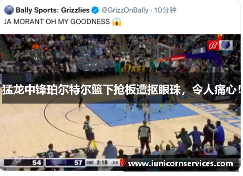 猛龙中锋珀尔特尔篮下抢板遭抠眼珠,令人痛心! 猛龙中锋珀尔特尔篮下抢板遭抠眼珠,令人痛心!